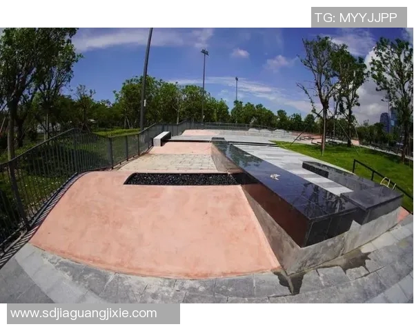 深圳滑板队运营分析：成功经验与面临挑战的深度探讨