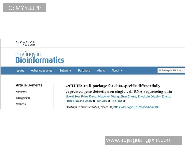 北京排球队团队协作表现的数据分析与提升策略探讨