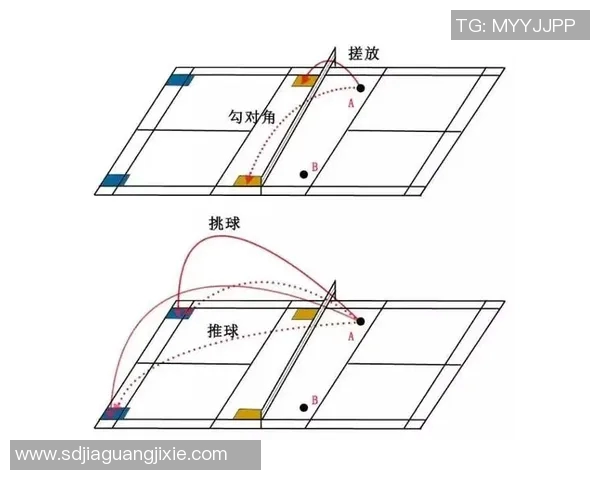 赛后分析：重庆羽毛球队与武汉羽毛球队灵活性对比与战术探讨