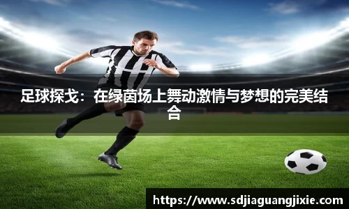 足球探戈：在绿茵场上舞动激情与梦想的完美结合